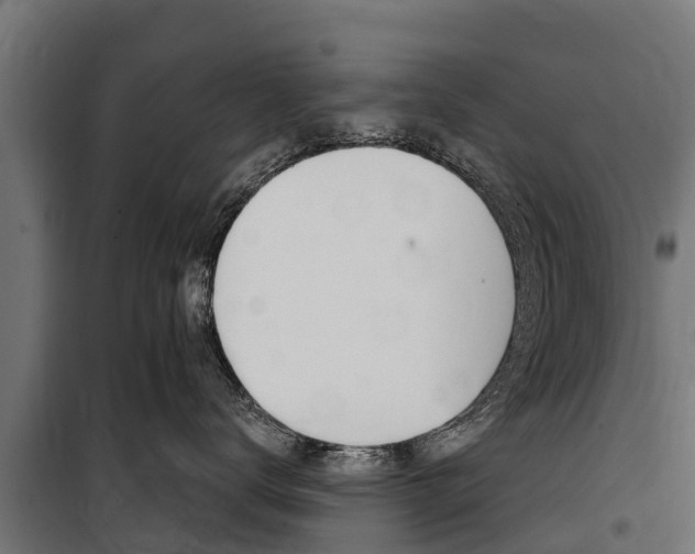 X0000100750672200806190824