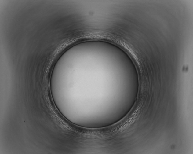 X0000100750673200806190824
