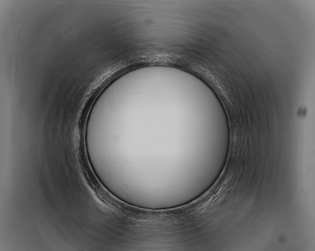 X0000100750674200806190824