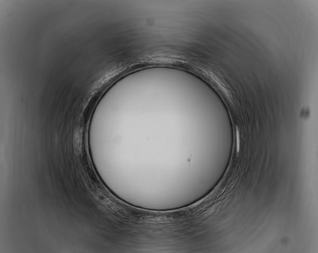 X0000100750675200806190824