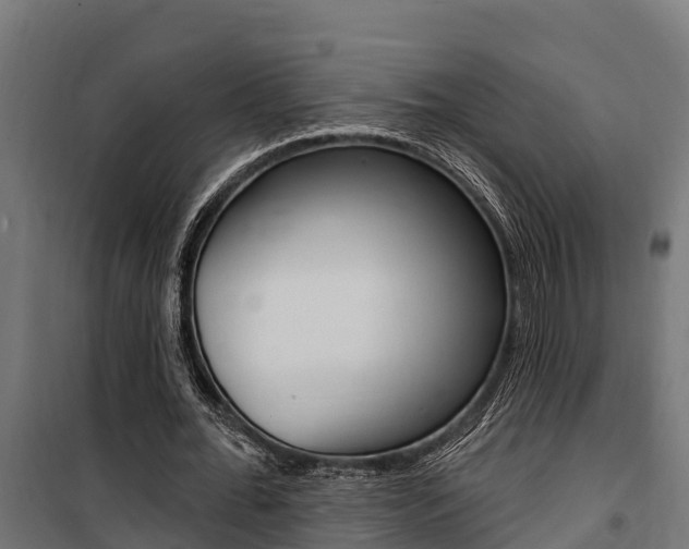 X0000100750676200806190824