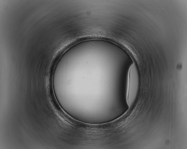 X0000100750677200806190824