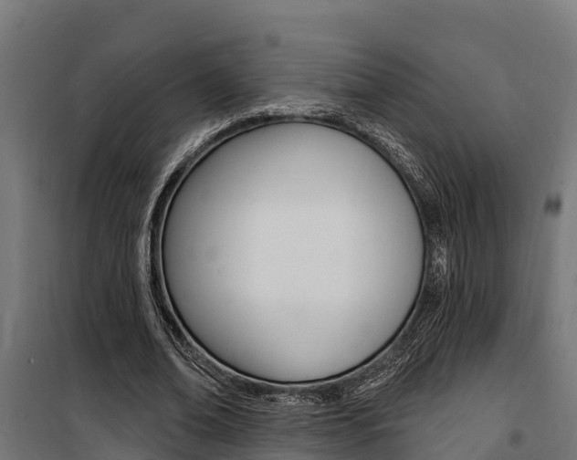 X0000100750678200806190824