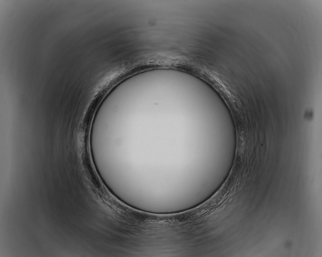 X0000100750679200806190824