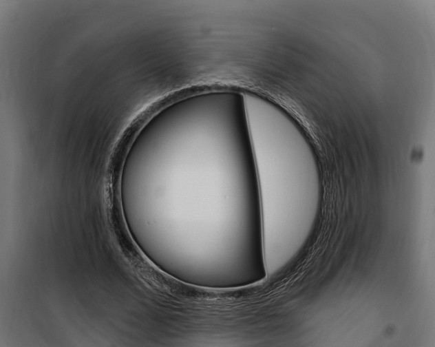 X0000100750680200806190824