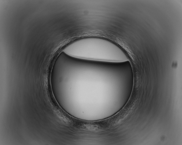 X0000100750681200806190824