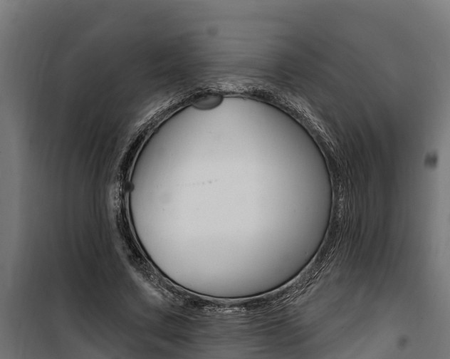X0000100750683200806190824