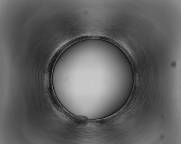 X0000100750684200806190824