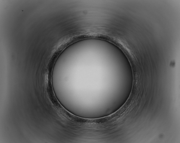X0000100750685200806190824