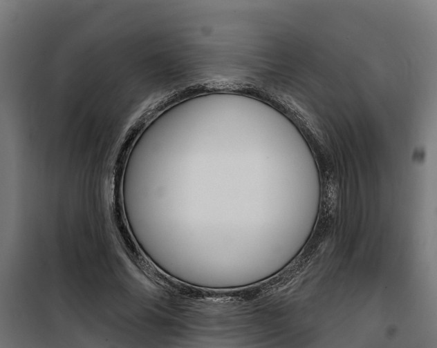 X0000100750686200806190824