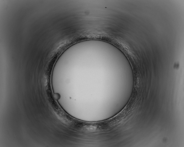 X0000100750687200806190824
