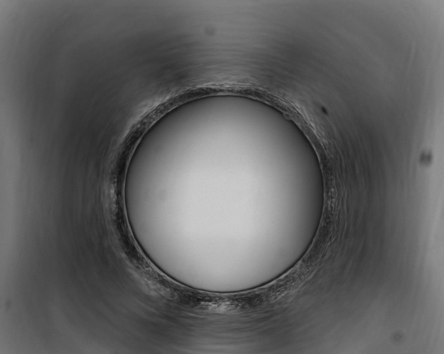 X0000100750688200806190824