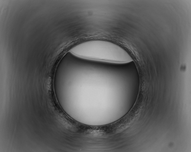 X0000100750689200806190824