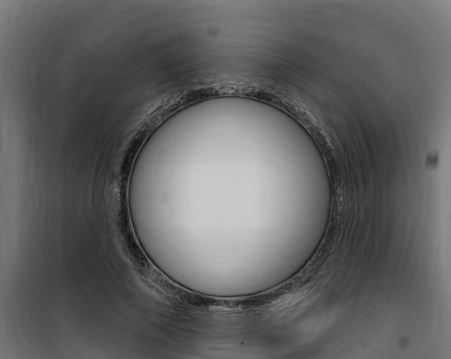 X0000100750690200806190823