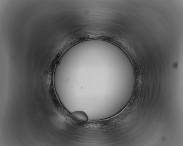 X0000100750691200806190823