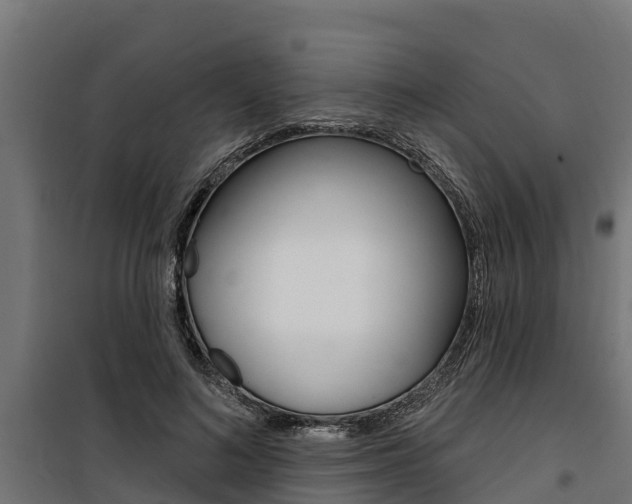 X0000100750692200806190823