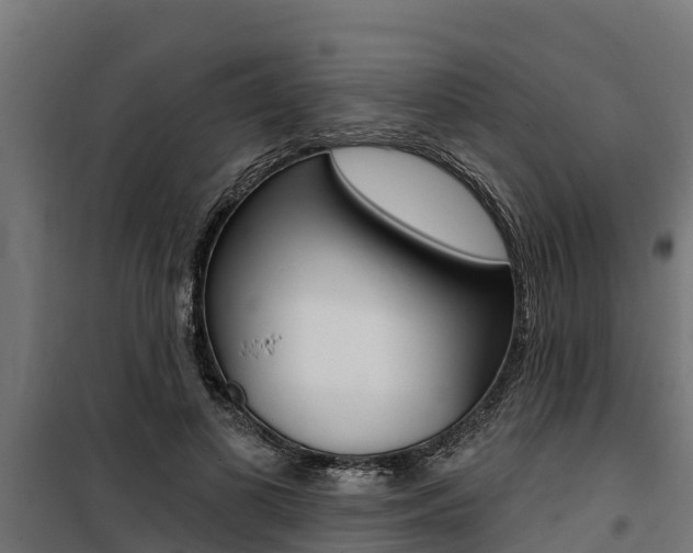 X0000100750693200806190823