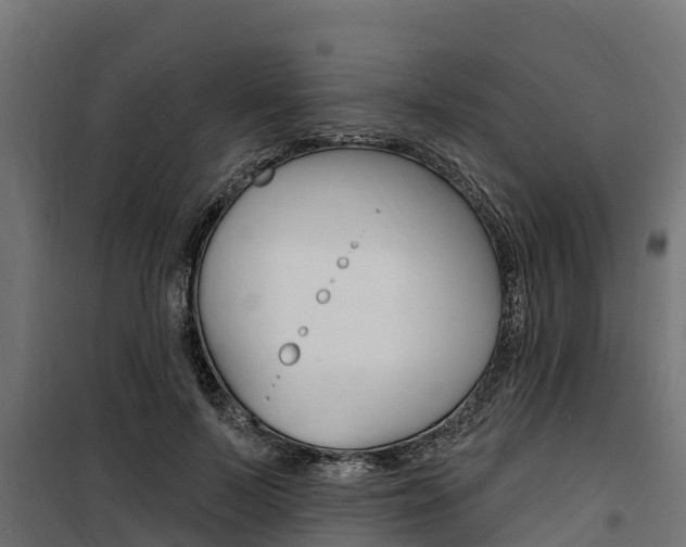 X0000100750695200806190823