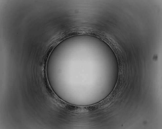 X0000100750696200806190823