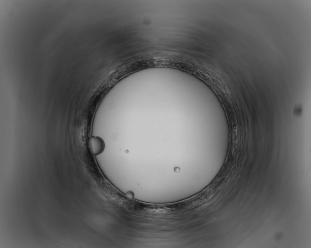 X0000100750698200806190823