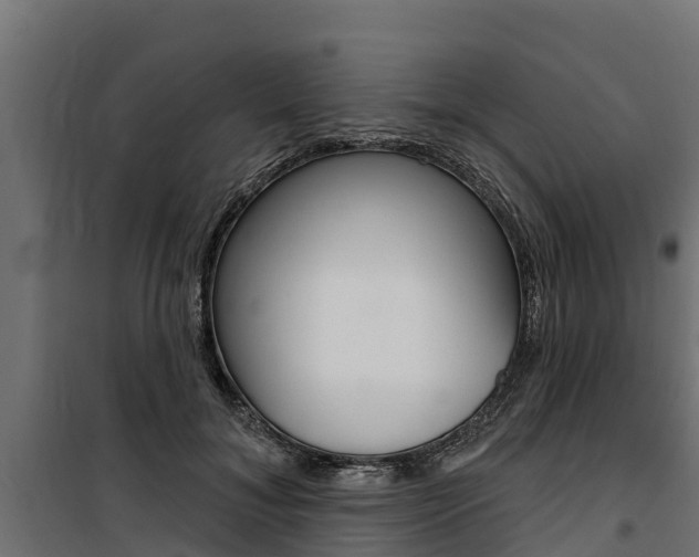 X0000100750700200806190823