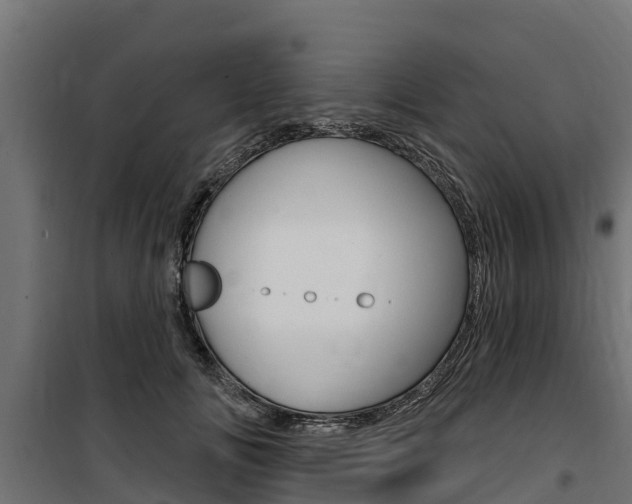 X0000100750702200806190823