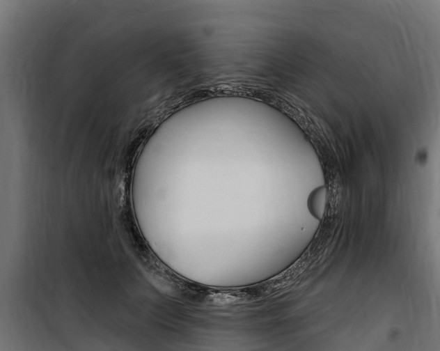 X0000100750703200806190823