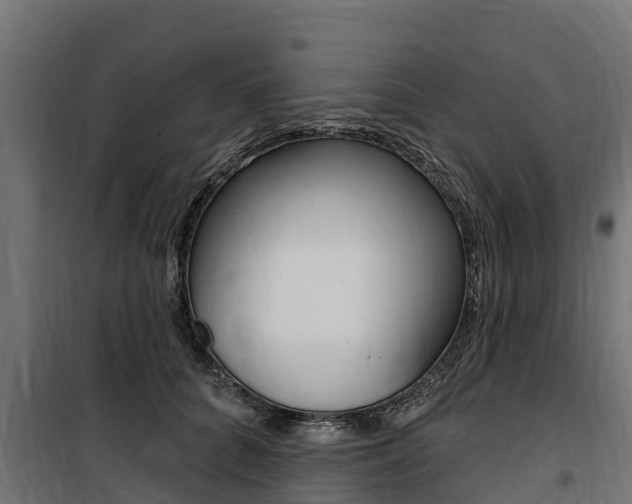 X0000100750704200806190823