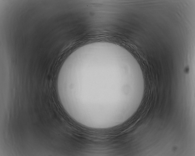 X0000100750705200806190823