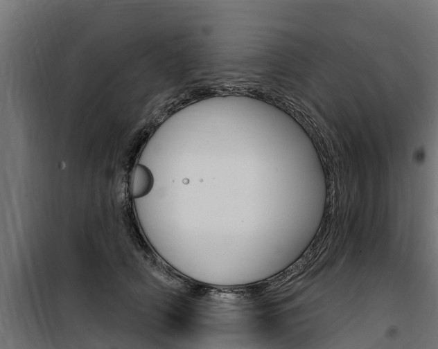 X0000100750706200806190823