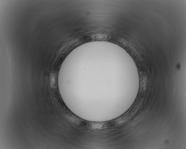 X0000100750709200806190823