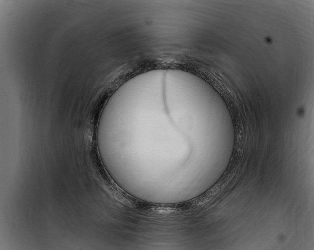 X0000100750710200806190823