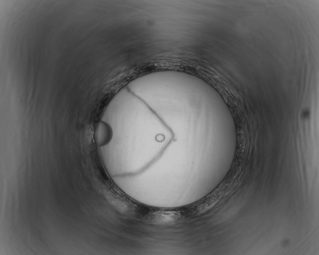X0000100750711200806190823