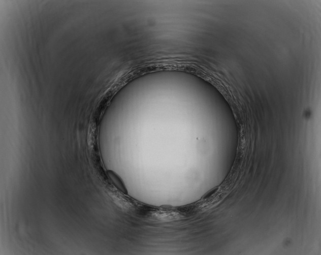 X0000100750712200806190823