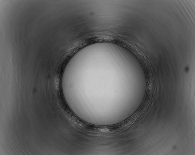 X0000100750715200806190823