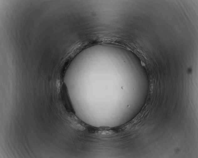 X0000100750716200806190823