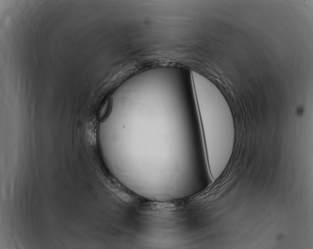X0000100750719200806190823