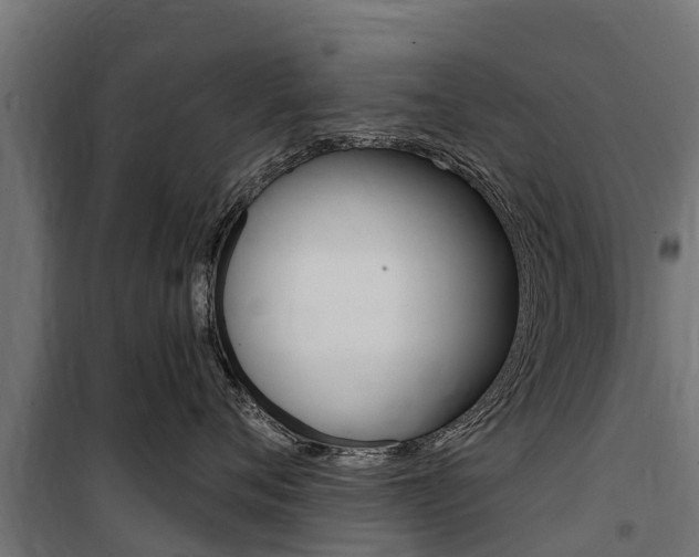 X0000100750720200806190823