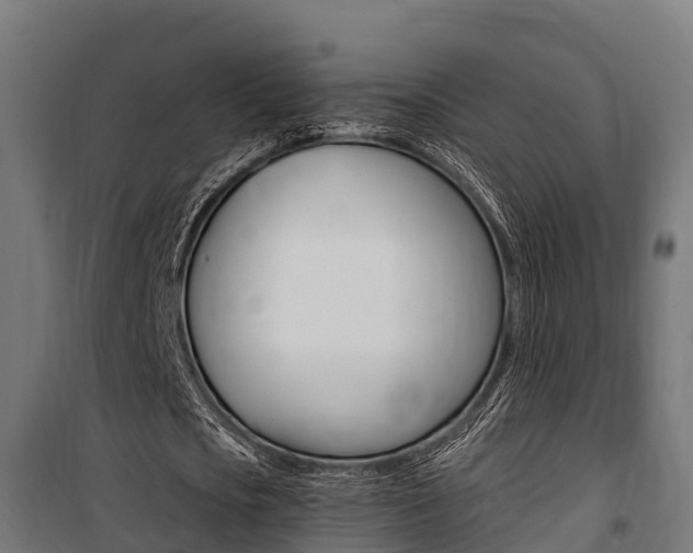 X0000100750721200806190822