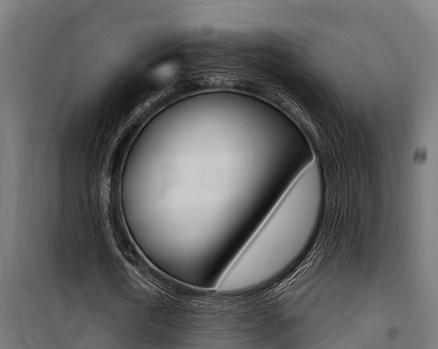 X0000100750722200806190822