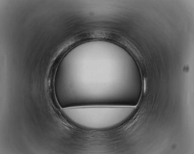 X0000100750723200806190822
