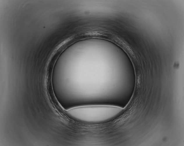 X0000100750724200806190822