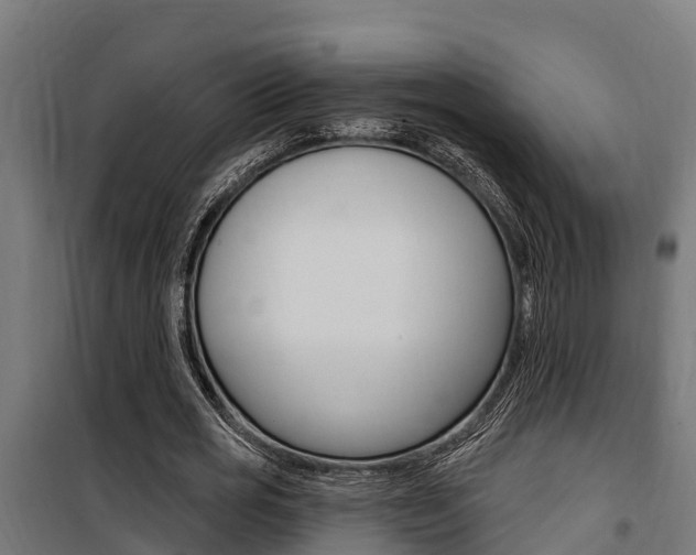 X0000100750725200806190822