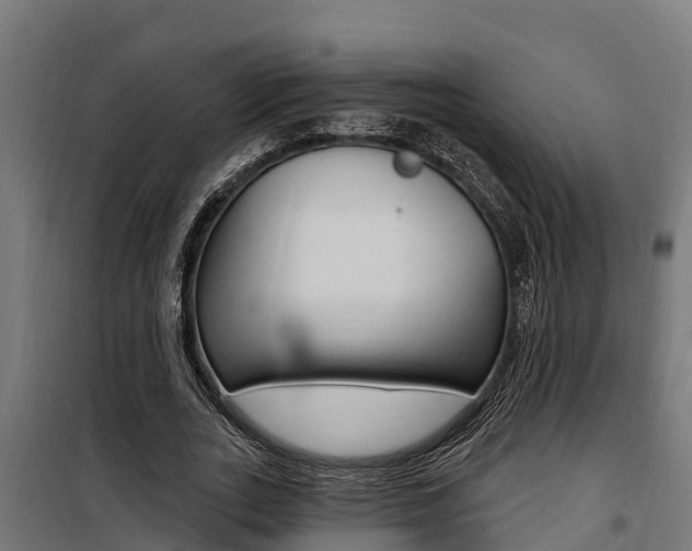 X0000100750727200806190822