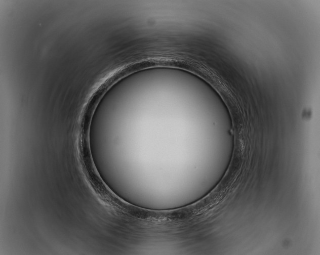X0000100750728200806190822