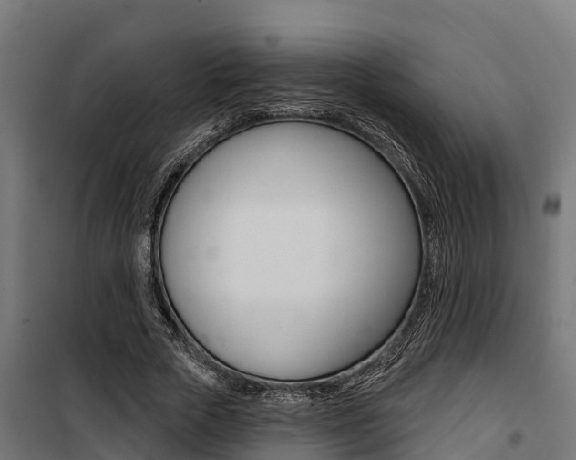 X0000100750729200806190822