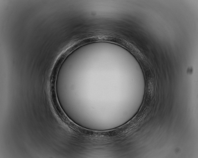 X0000100750730200806190822