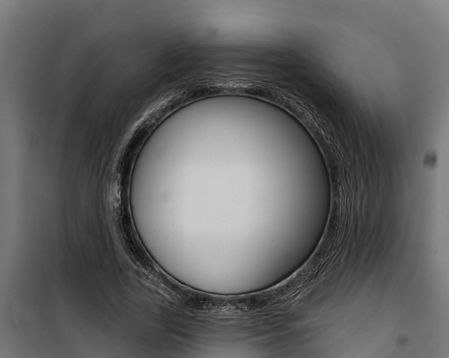 X0000100750731200806190822