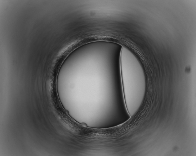 X0000100750732200806190822