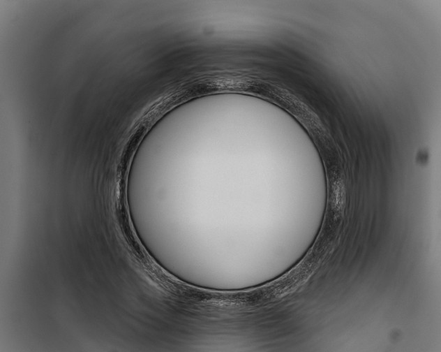 X0000100750733200806190822